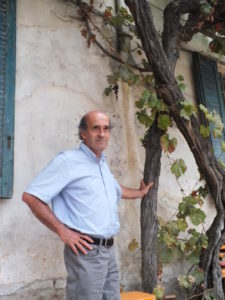 Andrea Falappi, Excursus sulla trasformazione del paesaggio agricolo negli ultimi 25-30 anni