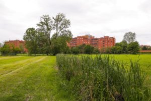 Visita guidata alla cascina Campazzo e al Parco Agricolo del Ticinello